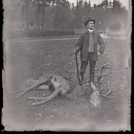Stag Brought to Ground: A sportsman marks the close of the drive with a red deer and a pinfire