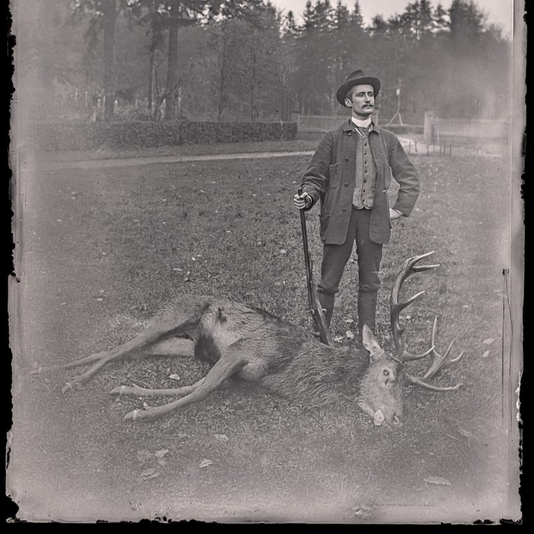 Stag Brought to Ground: A sportsman marks the close of the drive with a red deer and a pinfire