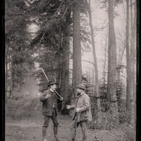 Debate in the Ride: Two companions trade stories under tall trunks between beats.