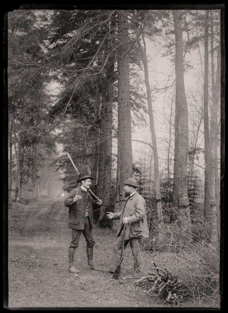 Debate in the Ride: Two companions trade stories under tall trunks between beats.